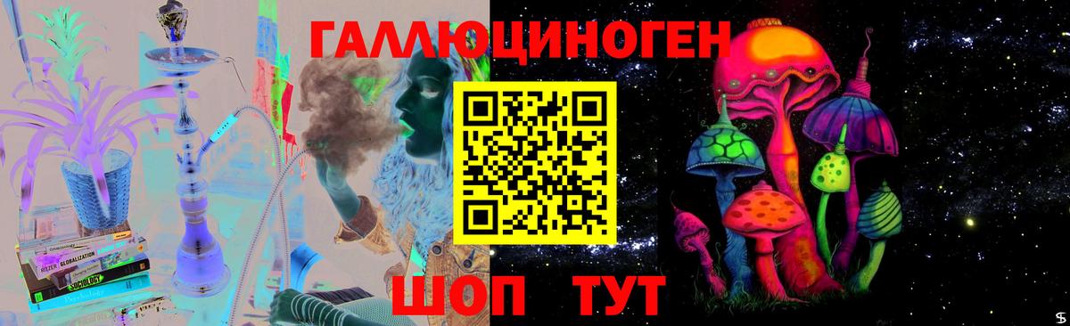 Галлюциногенные грибы Cubensis Шебекино