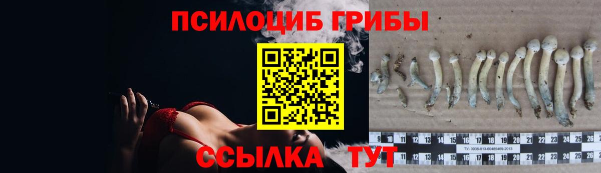 Галлюциногенные грибы Cubensis  Вход с VPN  Шебекино  Галлюциногенные грибы прущие грибы 